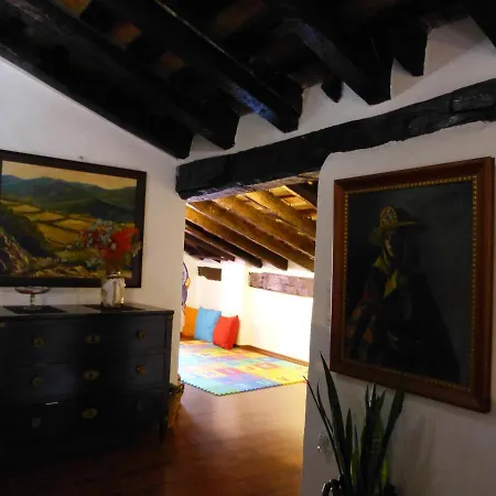 Hotel Del Arbol