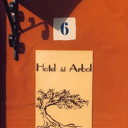 Del Arbol Xàtiva (Játiva)